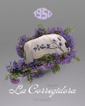 🌿 La Corregidora – Edición Jacaranda