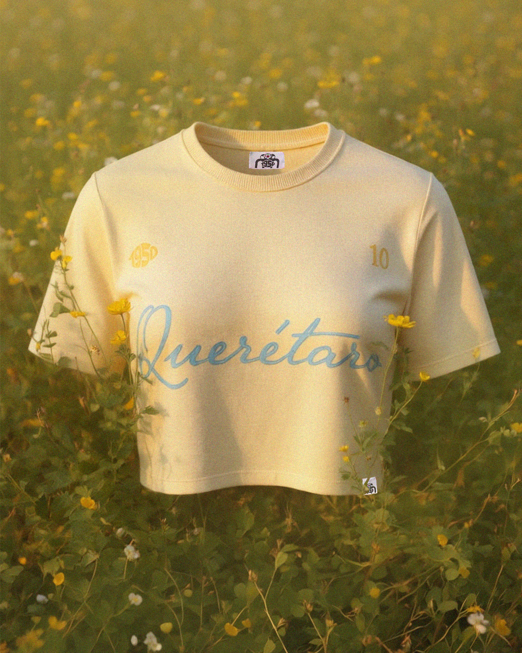 Crop Top- Querétaro- Beige