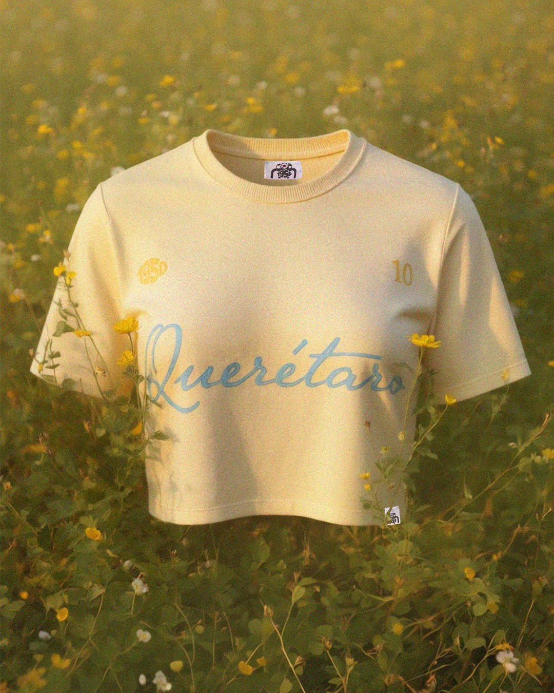 Crop Top- Querétaro- Beige